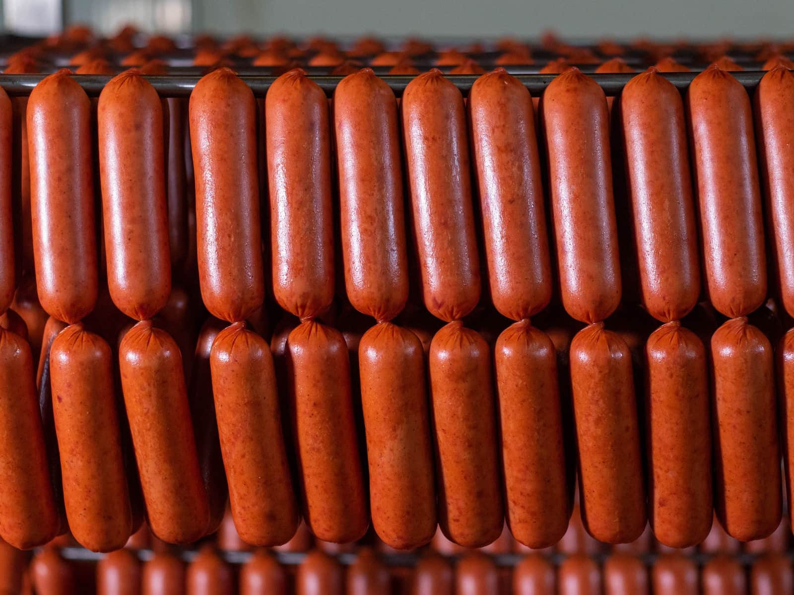 Rows of fresh sausage links hanging to smoke